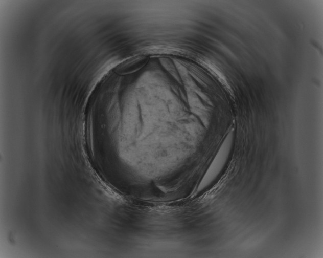 X0000096950992200802291052