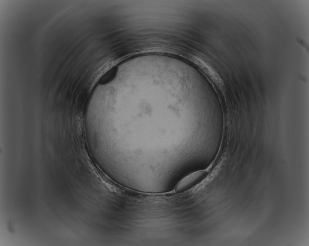 X0000096950993200802291052