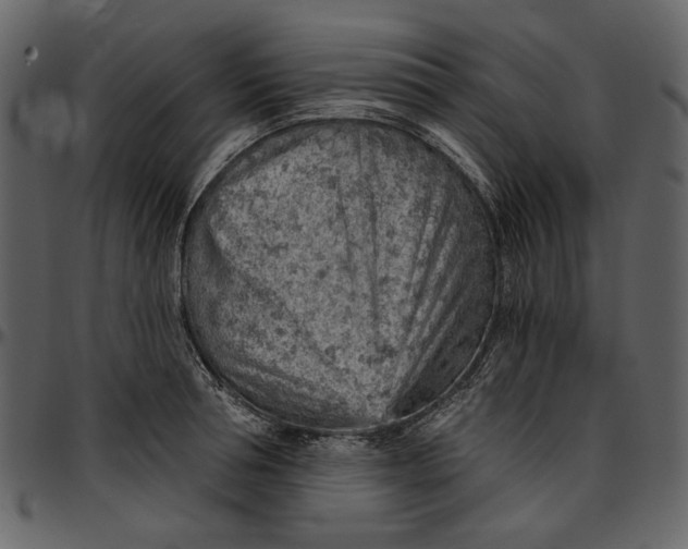 X0000096950994200802291052