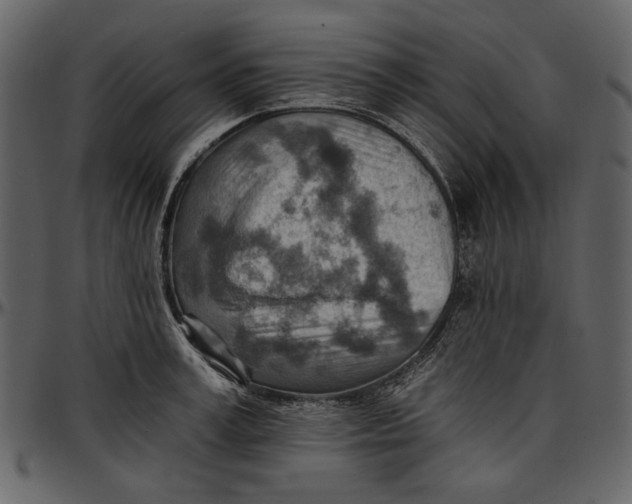 X0000096950995200802291052