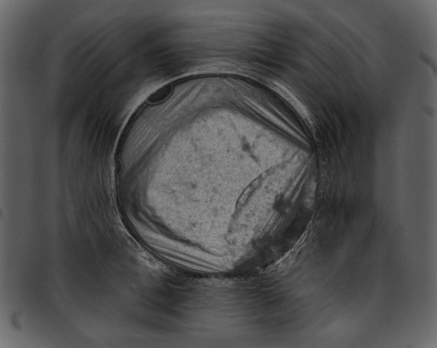 X0000096950996200802291052