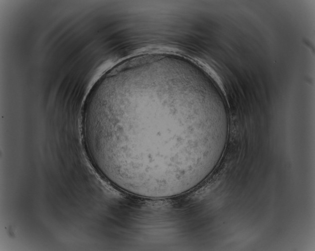 X0000096950997200802291052