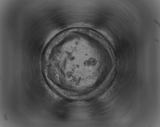 X0000096950998200802291052