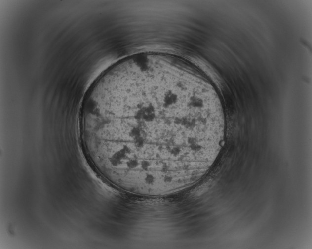 X0000096950999200802291052