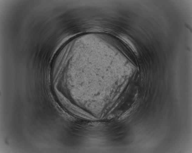 X0000096951000200802291052