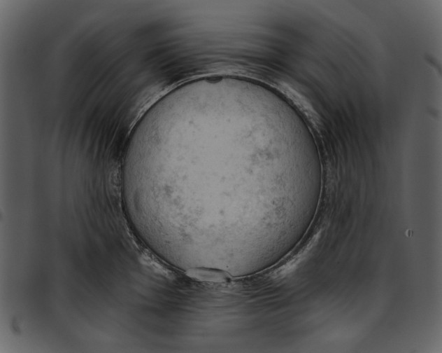 X0000096951001200802291052