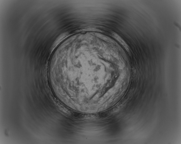 X0000096951002200802291052