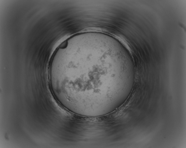 X0000096951003200802291052