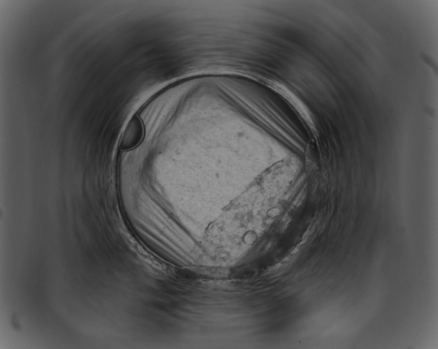 X0000096951004200802291052