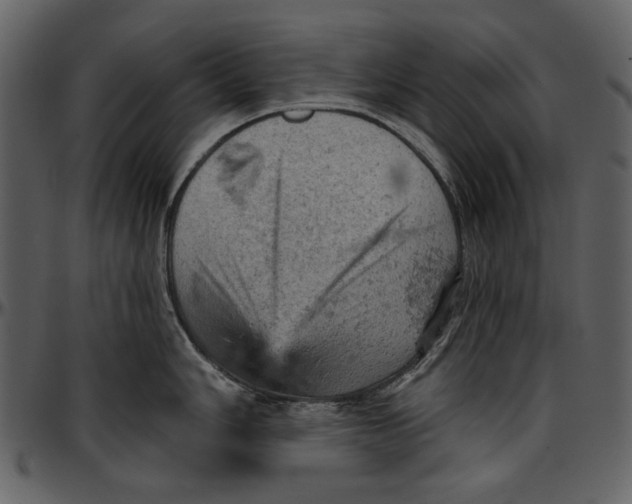 X0000096951006200802291052