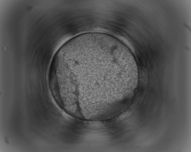 X0000096951007200802291051