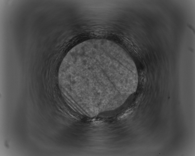 X0000096951009200802291051