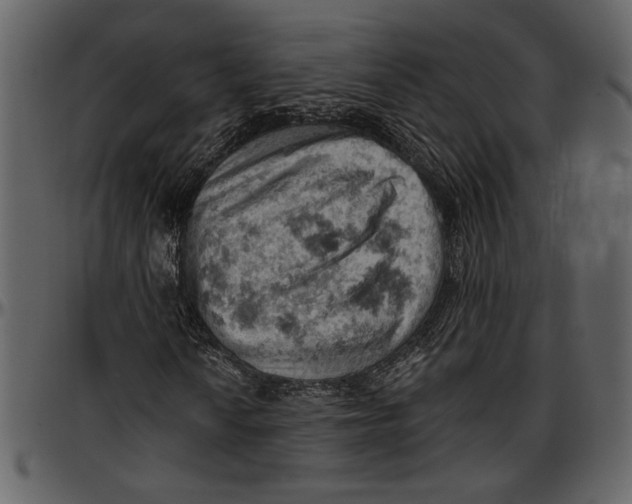 X0000096951010200802291051