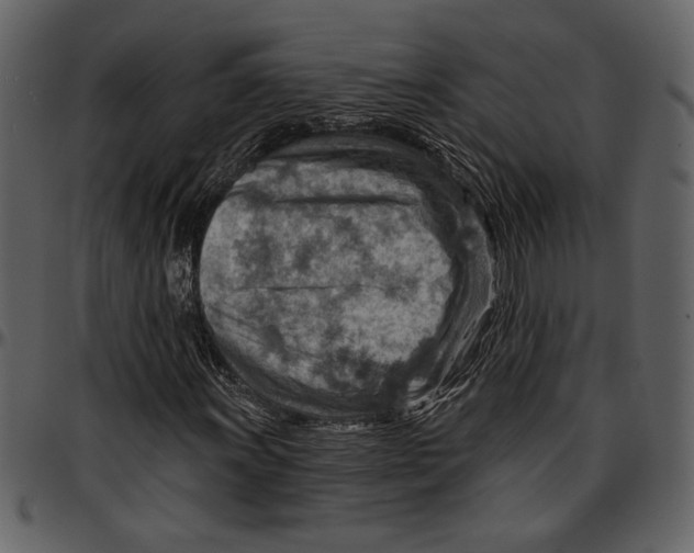 X0000096951011200802291051