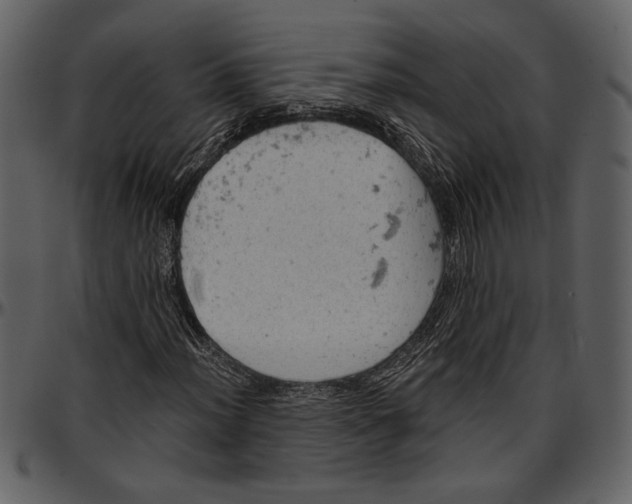 X0000096951012200802291051