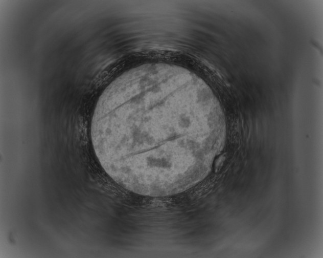 X0000096951013200802291051