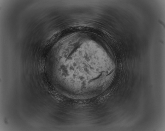 X0000096951014200802291051