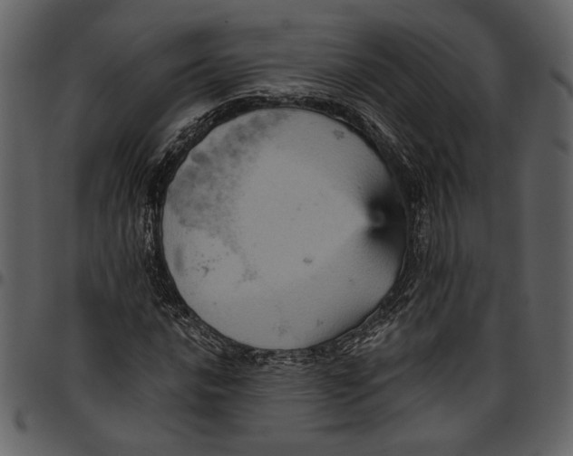 X0000096951016200802291051