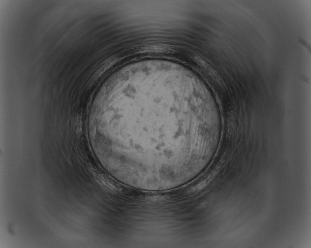 X0000096951017200802291051