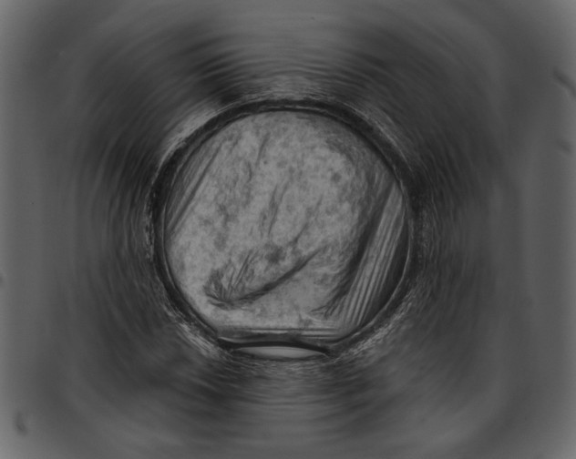 X0000096951018200802291051