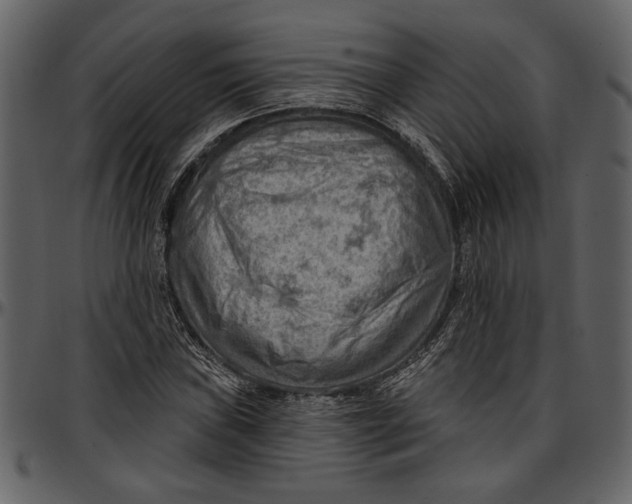 X0000096951019200802291051