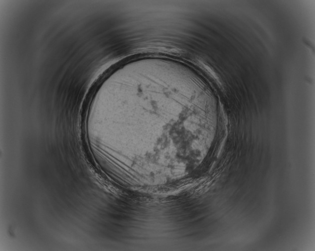 X0000096951020200802291051