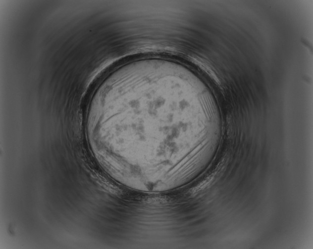 X0000096951021200802291051