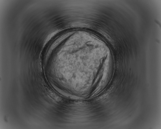 X0000096951022200802291051