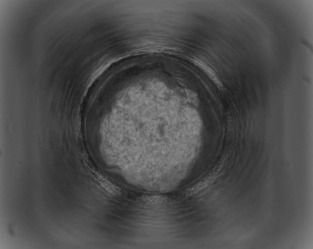 X0000096951023200802291051