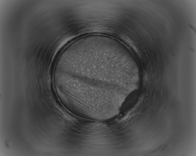 X0000096951024200802291051