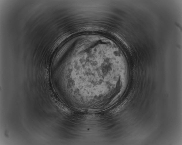 X0000096951025200802291051