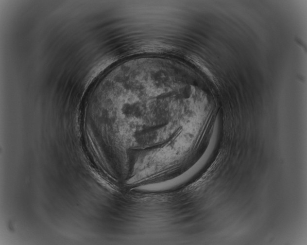 X0000096951026200802291051