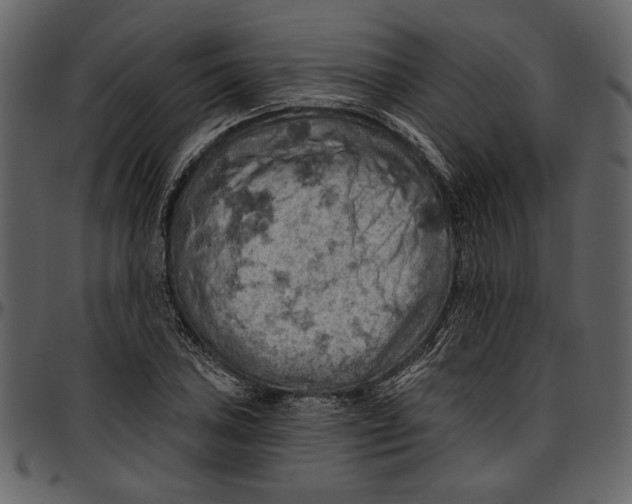 X0000096951027200802291051