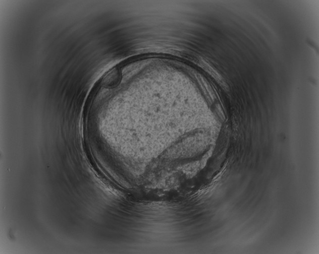 X0000096951028200802291051