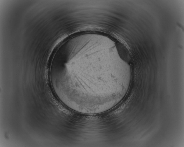 X0000096951029200802291051