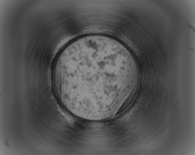 X0000096951030200802291051