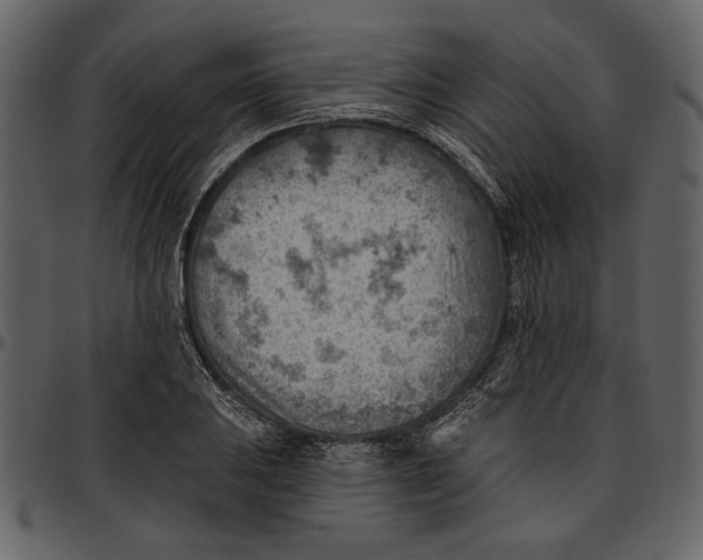 X0000096951031200802291051