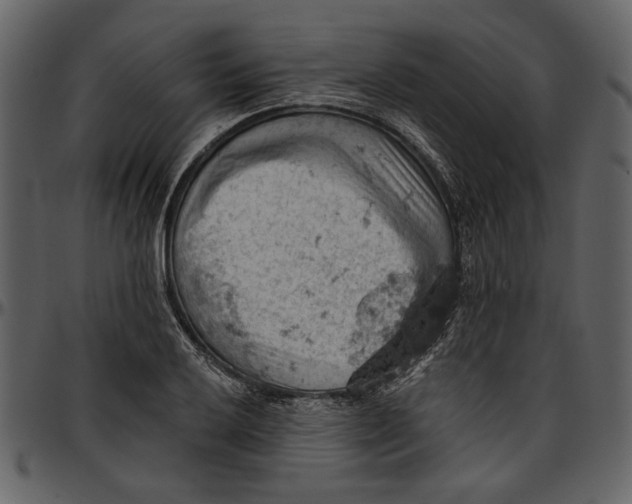 X0000096951032200802291051