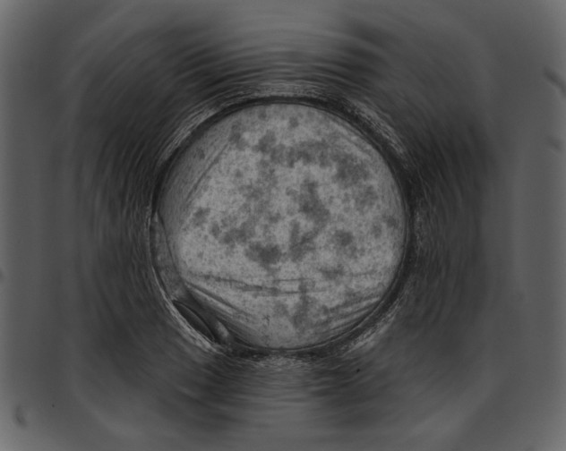 X0000096951033200802291051