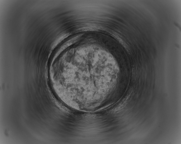 X0000096951034200802291051