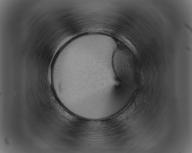 X0000096951036200802291051