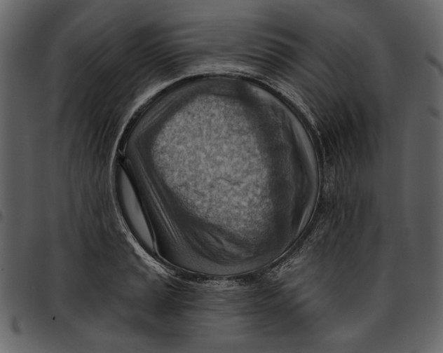 X0000096951037200802291051