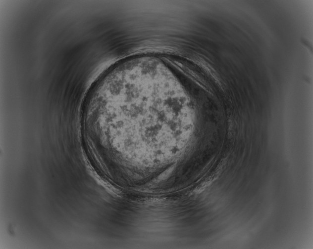 X0000096951038200802291051