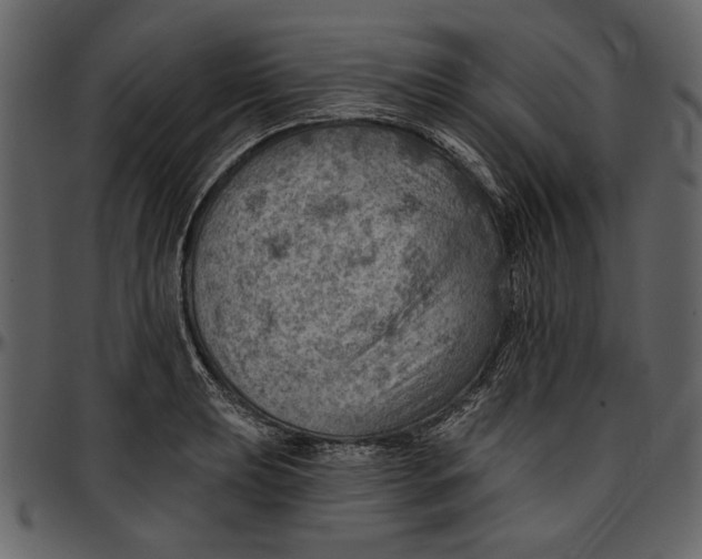 X0000096951039200802291051