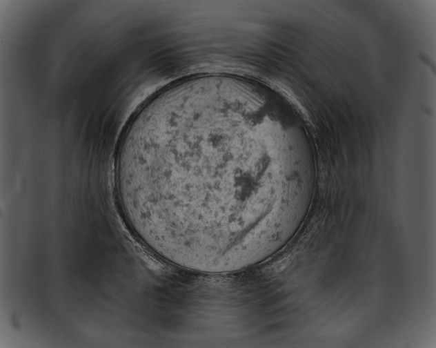 X0000096951040200802291051