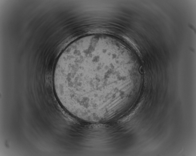 X0000096951041200802291051