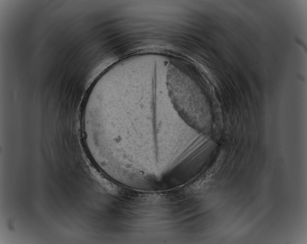 X0000096951042200802291051