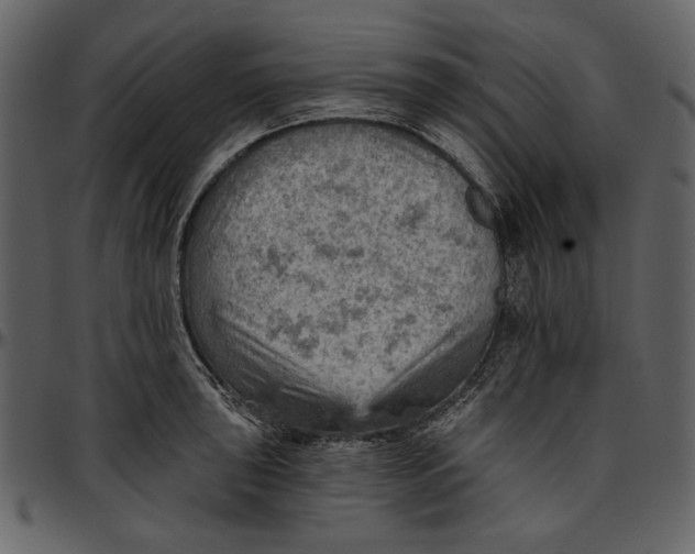 X0000096951043200802291051