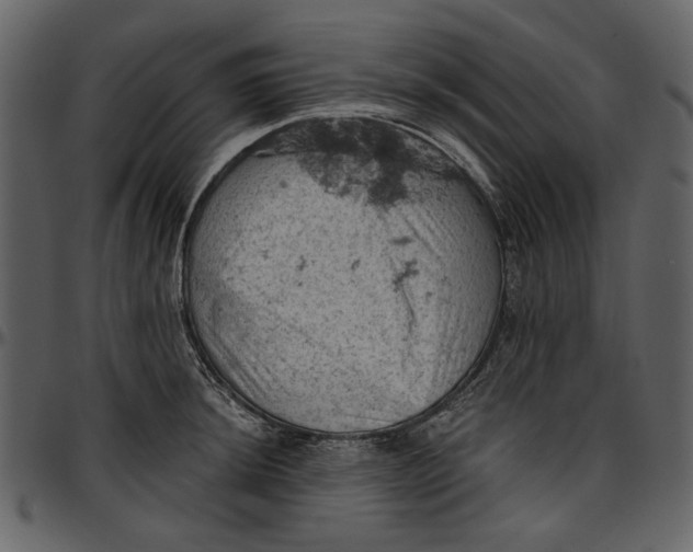 X0000096951044200802291051