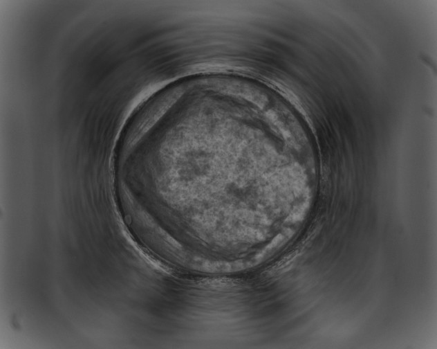 X0000096951045200802291051